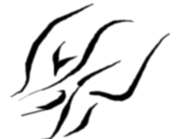 Tatuaj
