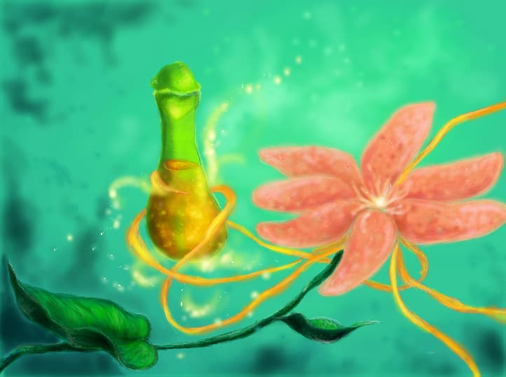 Melissa flavour