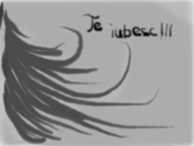 Te iubesc