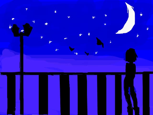 the night