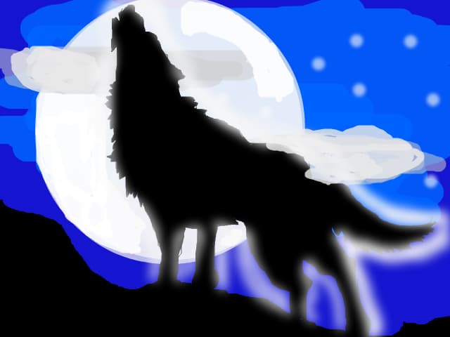 moon wolf