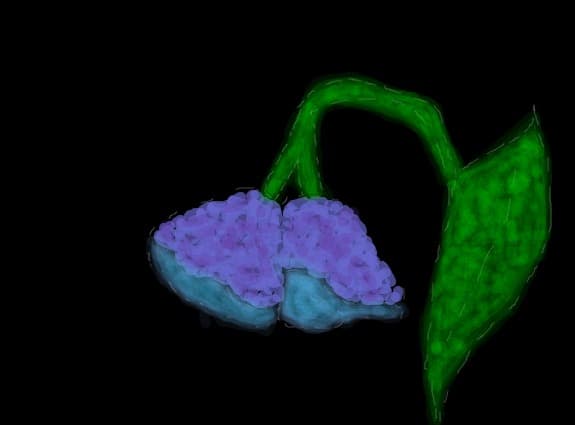 Clopotei