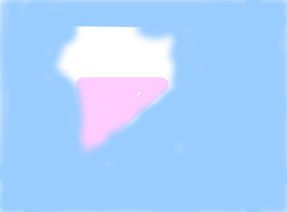 Buchet de flori