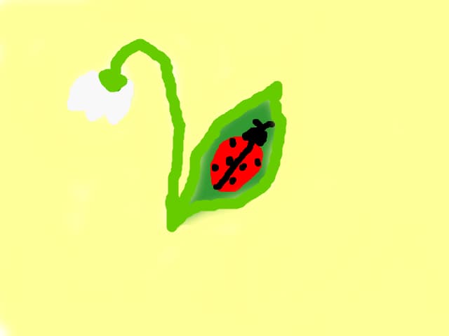 Mamaruta