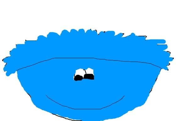 Puffle albastru