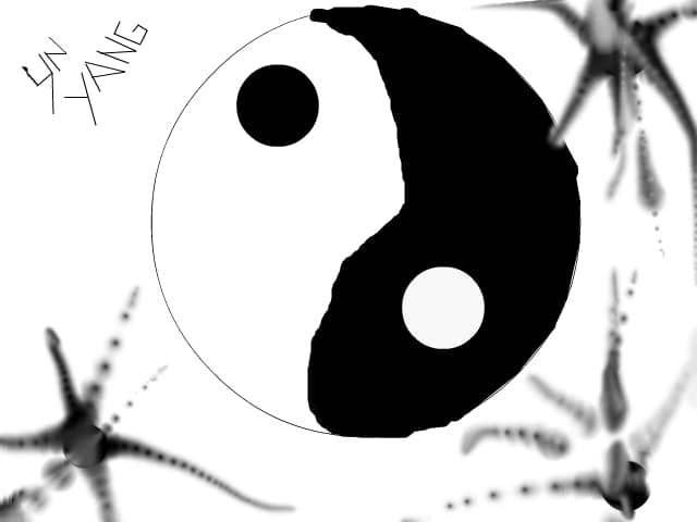 Yn-Yang