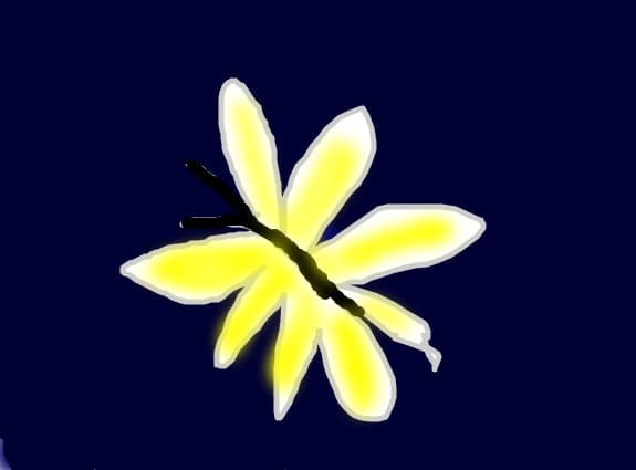 fluture2