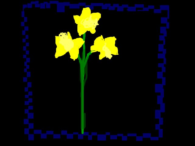flori