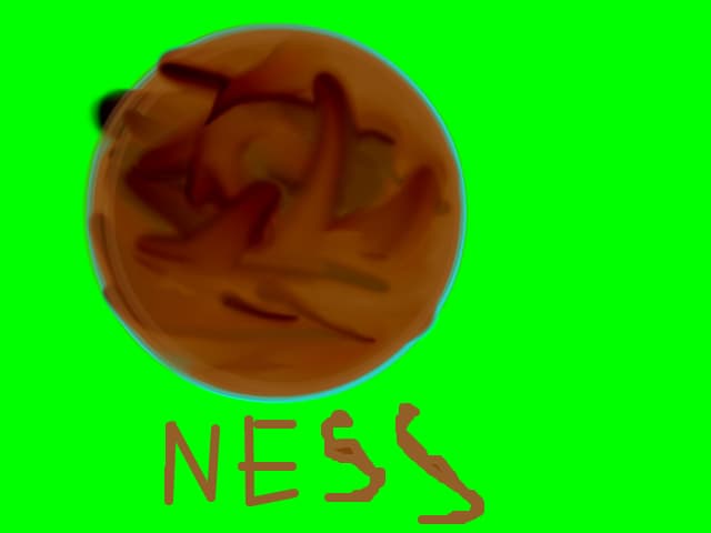 ness