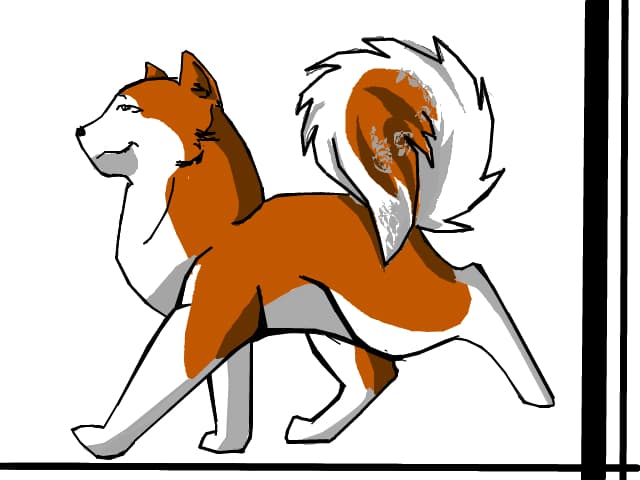 akita