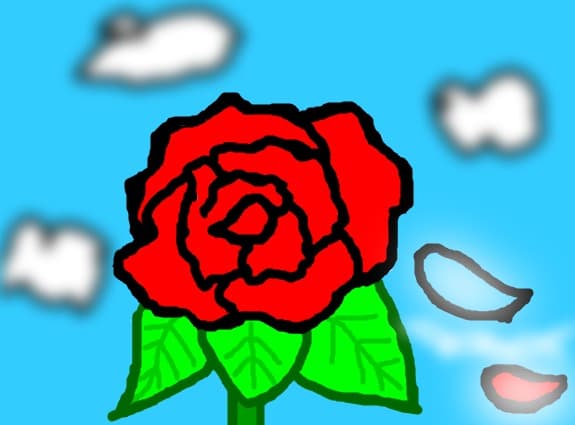 Rose