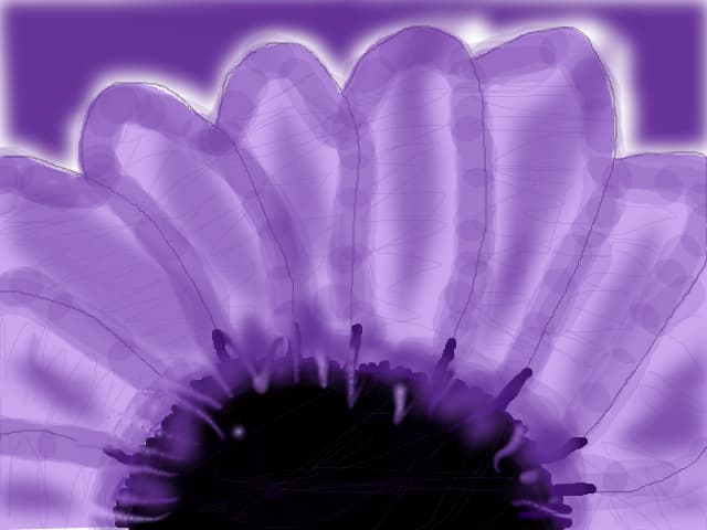 Floare  mova