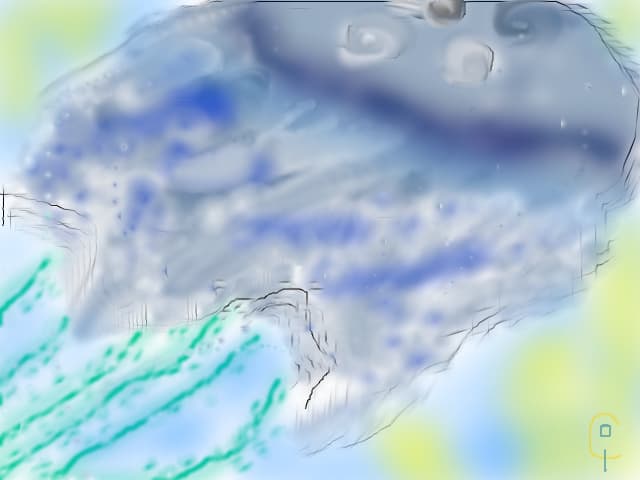 Jellyfish