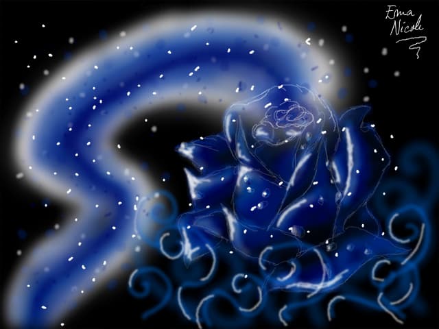 blue rose