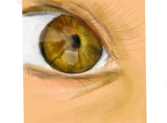 eye
