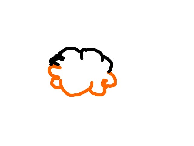 nor in doua culori
