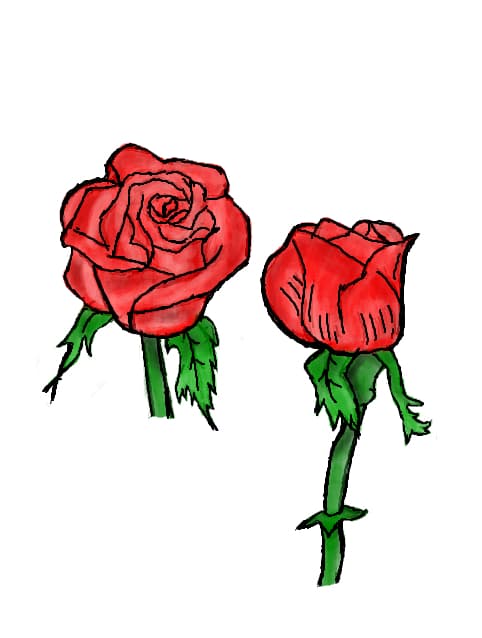 rose