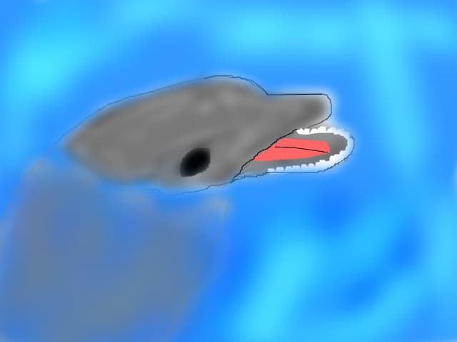 delfin