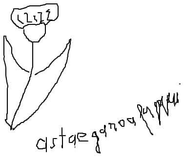Asta e Garoafa Pacii