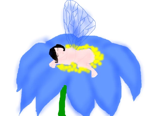 sora mea noua:)