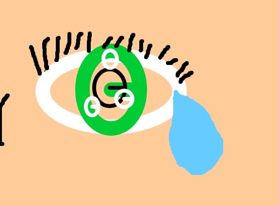 ochi