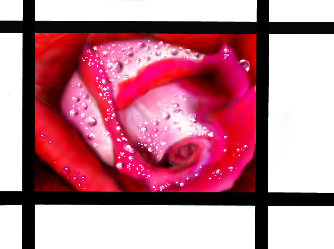 Rose (Diana)