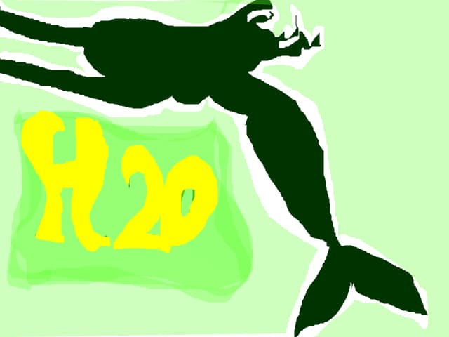 h20