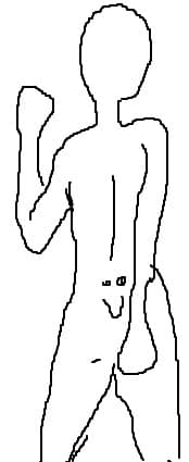 body