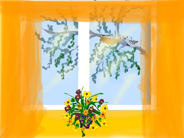 natura prin  fereastra  mea