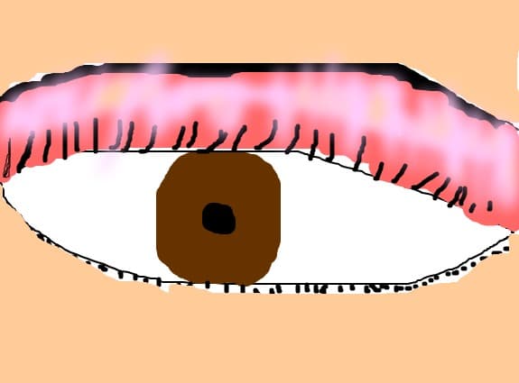 ochisor