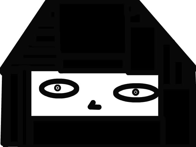 Ninja