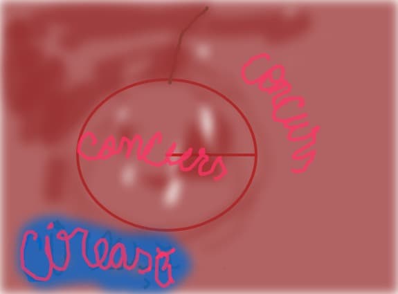 Concurs de desenat fructe