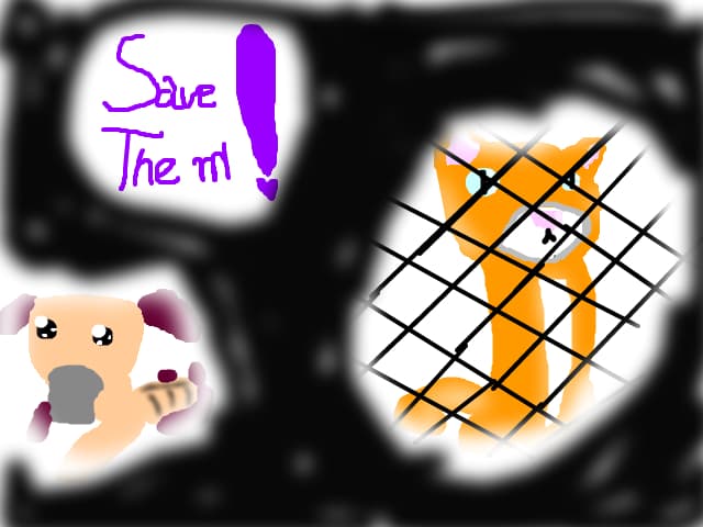 http://www.ptroa.co.il/petition/