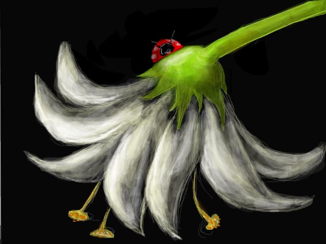 FLOARE