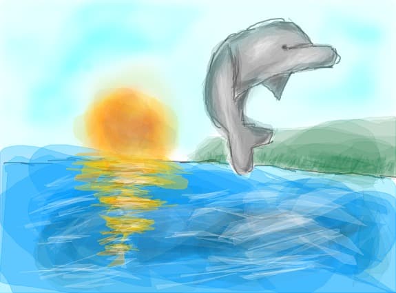 A delfin in a sunny morning....
