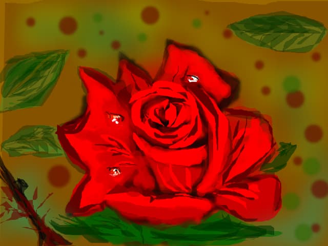 Rose