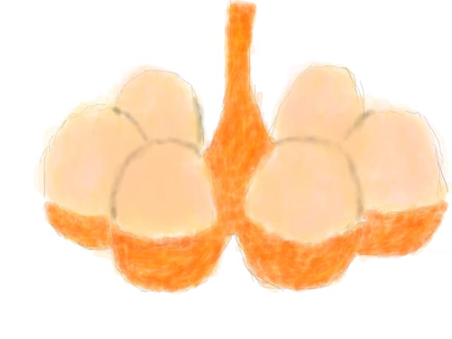 oua