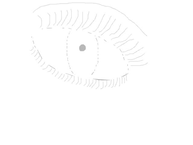 Ochiul