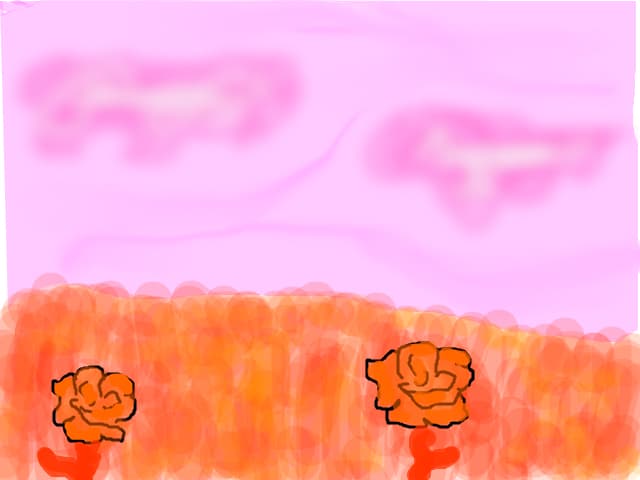 trandafiri