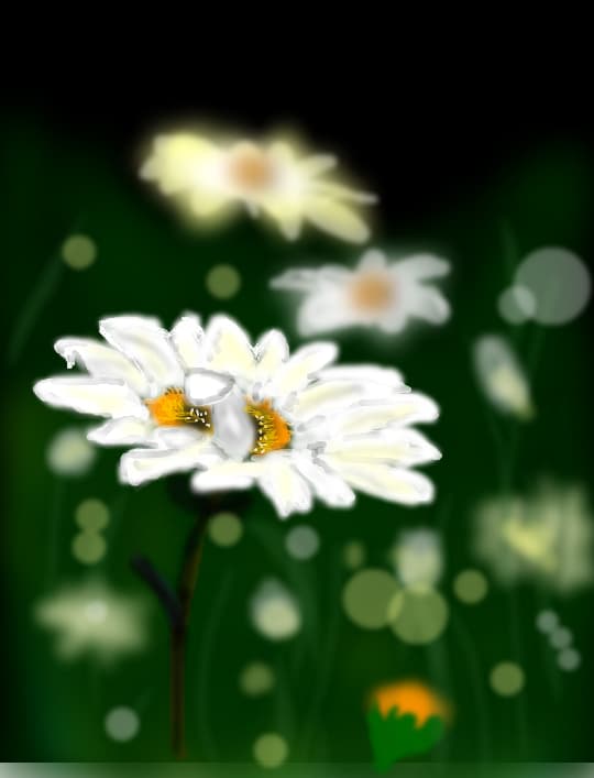 Margareta
