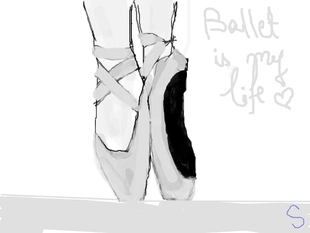 ballet shoes