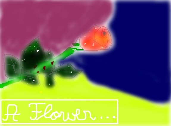 A flower...