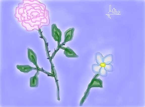 floricele