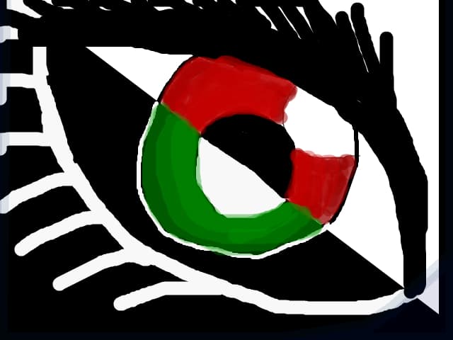 Eye