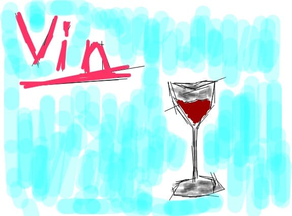 ViN