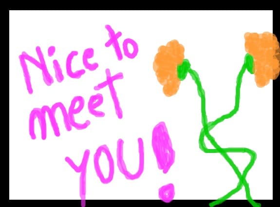 Nice to meet you