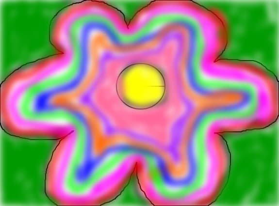 floarea patata