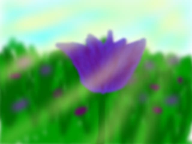 Floare violet
