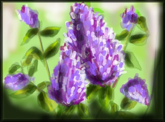 S-ar putea numi liliac