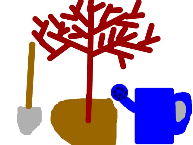 ECO